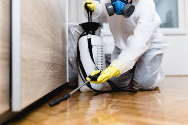 Pest Control for Restaurants in Ballenger Creek, MD