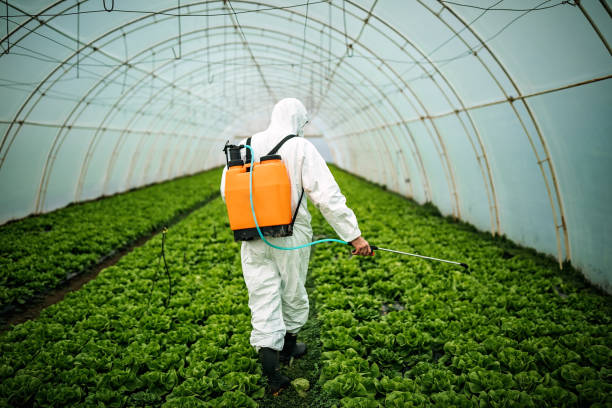 Best Best Pest Control Companies  in Ballenger Creek, MD