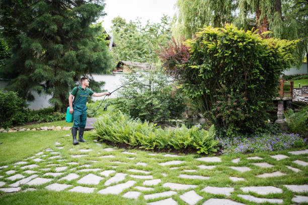 Best Wasp Removal Services  in Ballenger Creek, MD