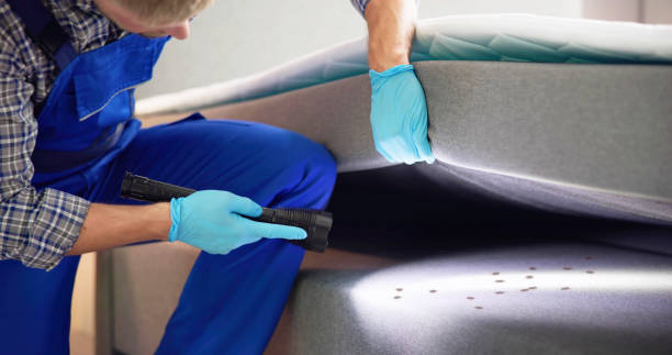 Best Mosquito Control Services  in Ballenger Creek, MD