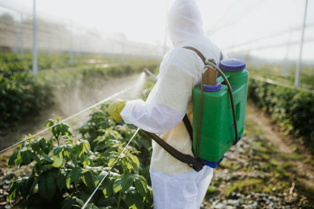 Best Commercial Pest Control Services  in Ballenger Creek, MD